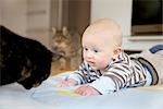 Baby and two cats on a blanket on the floor