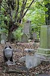 Headstones, Tower Hamlets Cemetery Park, London.