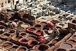 Tannerie, Fes, Maroc