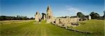 Bayham Old Abbey. General View of the Abbey showing the Nave, Quire and Presbytery.