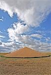 Open Grain Pile, Manitoba, Canada