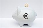 Piggy Bank with Euros