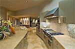 Architecturally designed kitchen and living area