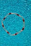 Synchronised swimmers form a circle