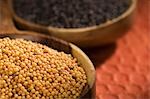 Yellow and black mustard seeds in ladles