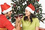 Couple, boire du vin en face d'un arbre de Noël