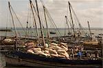 Large cargo dhows in Stone Town harbour, Zanzibar, Tanzania, East Africa, Africa