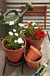 Potted Plants and Gardening Equipment on Roof Garden Table