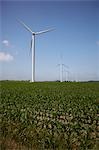 Windmills, Bruce County, Ontario, Canada