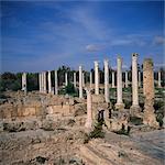 Colonnes de gymnase hellénistique, reconstruite par les Romains et palestre exercice au sol, à Salamine, principale ville de Chypre entre 1075 BC et 650 après JC, Chypre du Nord, Europe