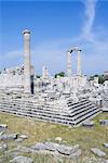 Temple of Apollo, Didyma, Anatolia, Turkey, Asia Minor, Eurasia