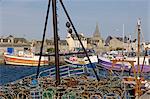 Port de Roscoff, Nord Finistère, Bretagne, France, Europe