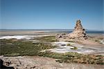 Die trostlose Landschaft von Lac Abbe, gesprenkelt mit Kalkstein Kamine, Dschibuti, Afrika