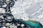 Ice Floe, péninsule Antarctique, la mer de Weddell, Antarctique