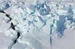 Pack de glace, la mer de Weddell, péninsule Antarctique, l'Antarctique