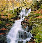 Birks of Aberfeldy, Tayside, Scotland, UK, Europe