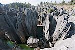 Shilin Stone Forest, UNESCO World Heritage Site, Yunnan Province, China, Asia