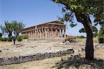 Le Temple de Neptune, Paestum, UNESCO World Heritage Site, Campanie, Italie, Europe