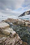 Neko Harbor, Antarctic Peninsula, Antarctica, Polar Regions