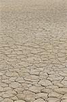 Cracked surface of dry lake bed