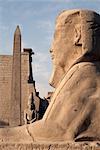 Eine Sphinx steht vor Luxor-Tempel, Luxor, Theben, UNESCO Weltkulturerbe, Ägypten, Nordafrika, Afrika