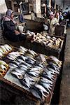 Darajani marché, Stone Town, Zanzibar, Tanzanie, Afrique de l'est, Afrique