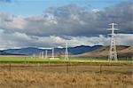 Farmland, near Twizel, Canterbury, South Island, New Zealand