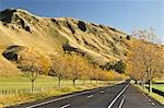 Waimarama Road, Havelock North, Hawke's Bay, North Island, New Zealand