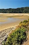 Wainui Bay, Tasman Region, South Island, New Zealand