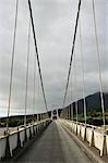 Pont sur Cook River, West Coast, South Island, Nouvelle-Zélande