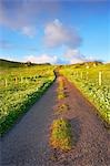 Empty Road, Isle of Lewis, Scotland