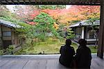 Un couple contemplant les couleurs d'automne, Koto en temple Zen datant de 1601, dans le principal temple Daitokuji, Kyoto, Japon