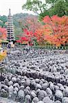 Statues de pierre de Jizo et érable automne feuilles Adashino Nenbutsu dera temple, zone Arashiyama Sagano, Kyoto, Japon, Asie