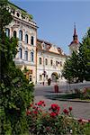 Trandafirilor square, Targu Mures, Transylvanie, Roumanie, Europe