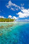 Île et reef, Maldives, océan Indien, Asie