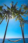 Hammock between palm trees on beach, Bali, Indonesia, Southeast Asia, Asia