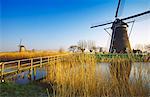 Canal and windmills at Kinderdijk, UNESCO World Heritage Site, Holland, Europe