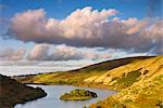 Automne en début d'après-midi qui surplombe le Meldon réservoir, Parc National de Dartmoor, Devon, Angleterre, Royaume-Uni, Europe