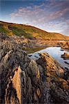 Küsten Felsformationen in Wembury Bay in Devon, England, Vereinigtes Königreich, Europa