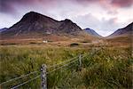 Isolierte Häuschen auf der Heide zwischen Rannoch Moor und Glencoe, Highlands, Schottland, Vereinigtes Königreich, Europa