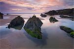 Rockpools exposed at low tide, Combesgate Beach, Devon, England, United Kingdom, Europe