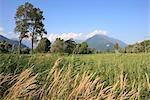 Campagne près de Colico, Lombardie, Italie, Europe