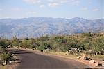 Saguaro-Nationalpark Rincon Gebirgsgegend, Tucson, Arizona, Vereinigte Staaten von Amerika, Nordamerika