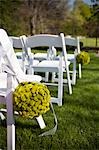 Stühle und Blumen für eine Hochzeit