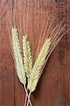 Three cereal ears (rye and barley) on wooden background