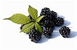 Fresh blackberries with leaves