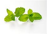 Fresh mint leaves