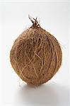 A coconut