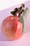 Red apple with stalk and leaves