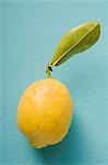 Lemon with leaf on blue background